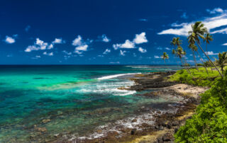 Tropical volcanic beach on Samoa Island with many palm trees, South Pacific