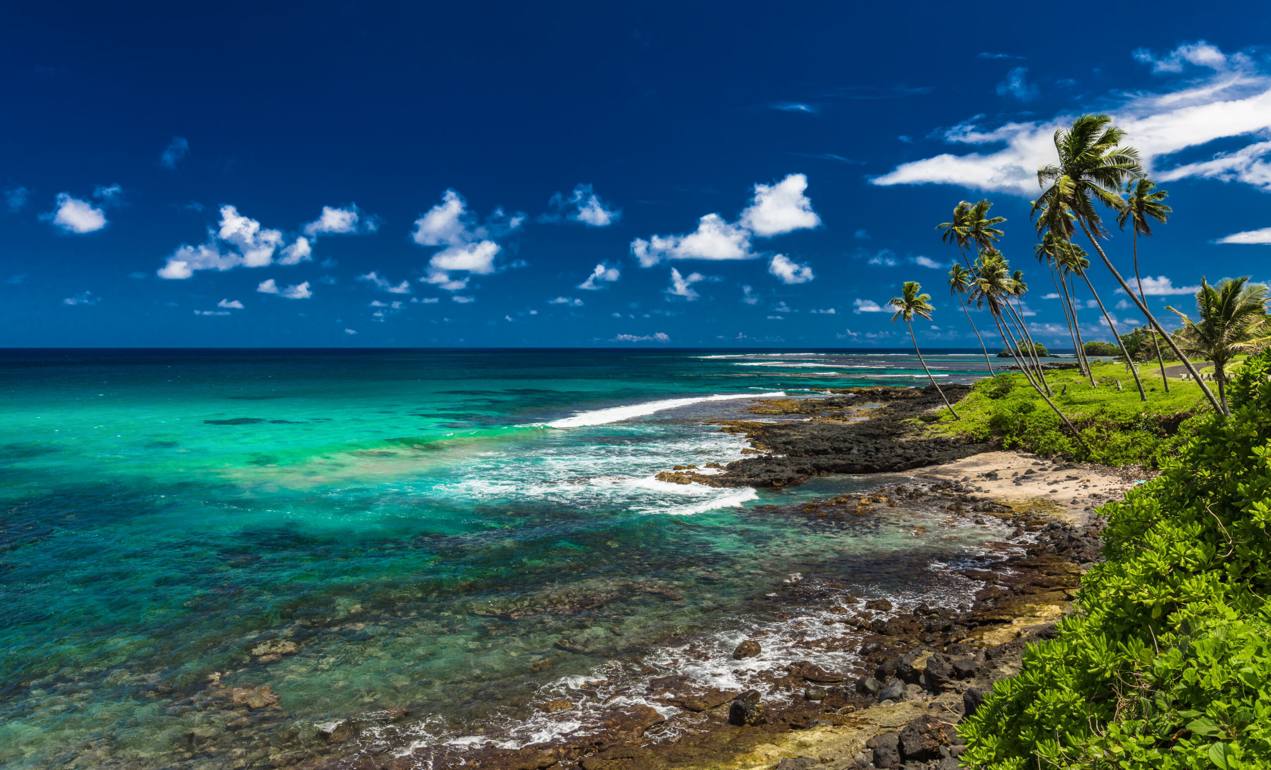 Tropical volcanic beach on Samoa Island with many palm trees, South Pacific