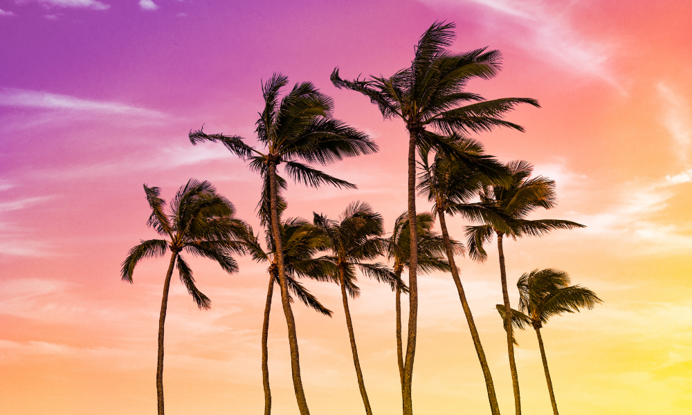 healthcare in hawaii